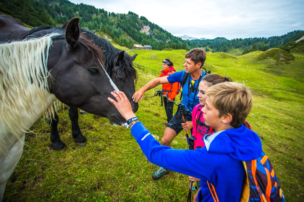 Eine Familie, bestehend aus einer Tochter, Sohn, Vater und Mutter, treffen beim Wandern auf zwei Pferde. Die zwei Kinder sowie der Vater streicheln die Huftiere. Die Mutter hält Abstand zu ihnen. Jeder trägt sprotliche Kleidung, einen Rucksack und Wanderstöcke. Eines der Pferde ist braun weiß gefärbt während das andere schwarz ist. Im Hintergund erkennt man viele Wälder und Hüge, sowie vereinzelte Häuser in weiterer Ferne.