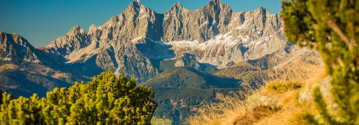 Panoramablick vom Wanderweg auf das große Massiv. Im Vordergrund - verschwommen- rechts und links grüne Sträucher. Der Himmel ist klar blau.