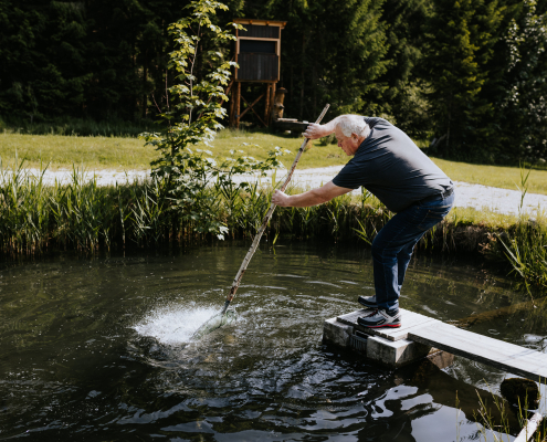 Ein Mann probiert mit einem Fangnetz Fische aus einem Teich zu fangen.