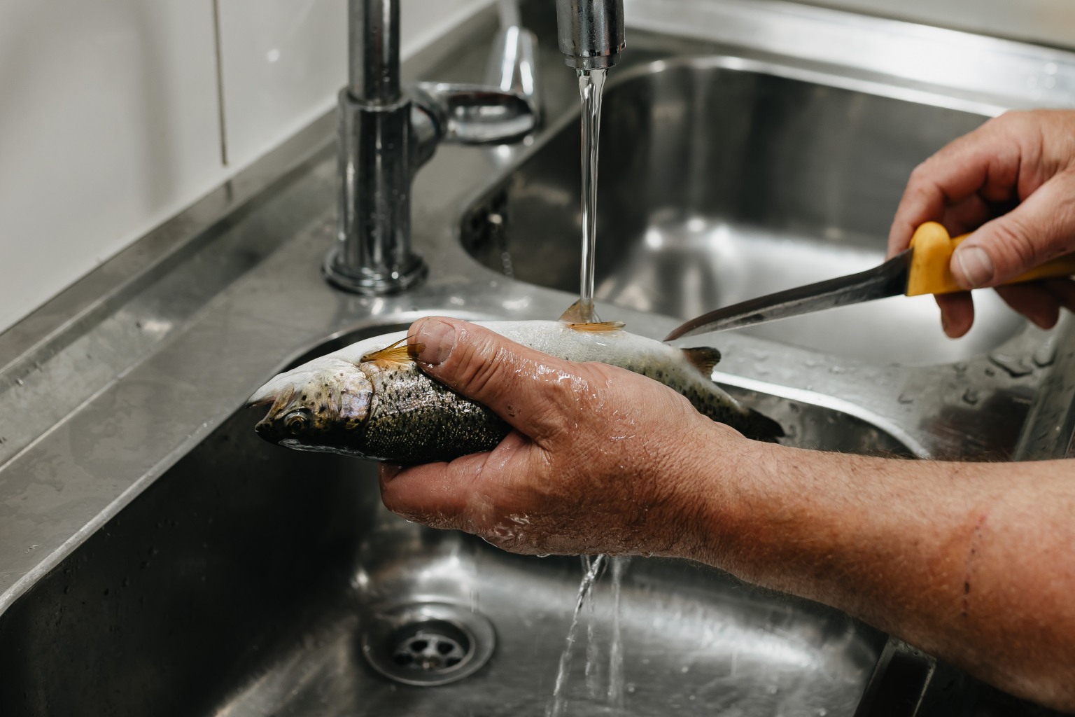 Das Bildt zeigt wie ein Fisch, aus nachhaltigem Fischfang, unter einem laufendem Wasserhahn mit einem Messer aufgeschnitten wird.